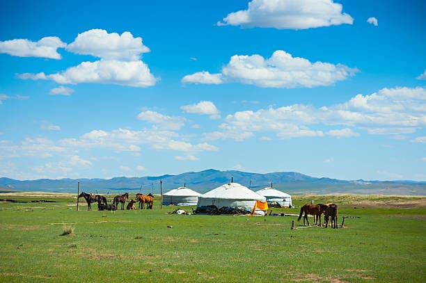 tripmate image