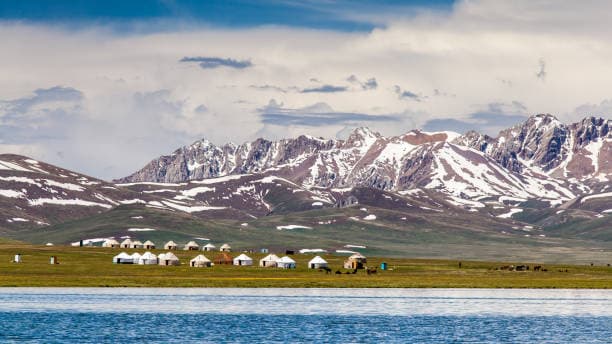 tripmate image