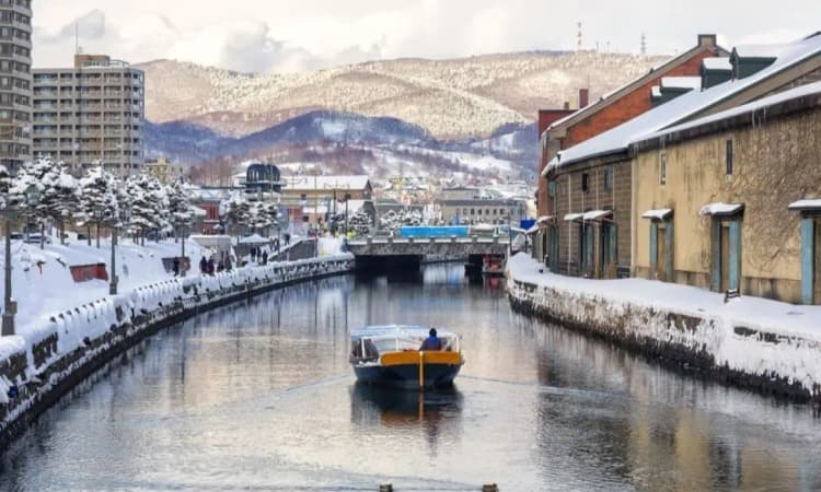 tripmate image